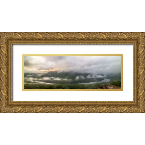 Snooper Fog Gold Ornate Wood Framed Art Print with Double Matting by Lee, Rachel