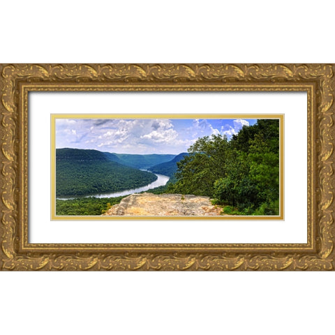 Snoopers Rock Summer 2 Gold Ornate Wood Framed Art Print with Double Matting by Lee, Rachel