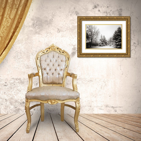 Snow Trees Gold Ornate Wood Framed Art Print with Double Matting by Lee, Rachel