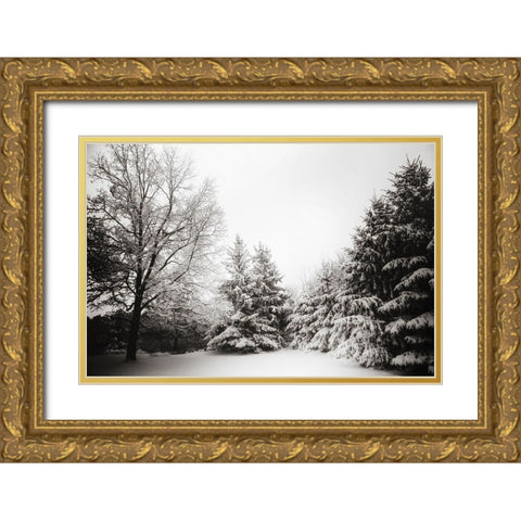 Snow Trees Gold Ornate Wood Framed Art Print with Double Matting by Lee, Rachel