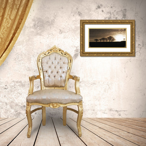 Solitary Trees Gold Ornate Wood Framed Art Print with Double Matting by Lee, Rachel