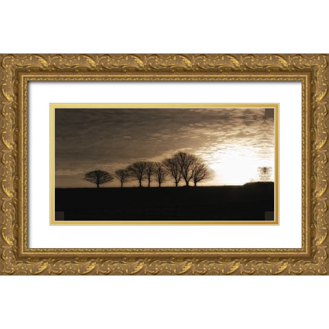Solitary Trees Gold Ornate Wood Framed Art Print with Double Matting by Lee, Rachel