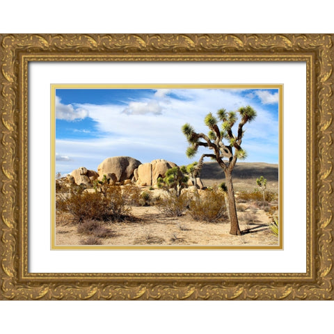 Southwest 1 Gold Ornate Wood Framed Art Print with Double Matting by Lee, Rachel