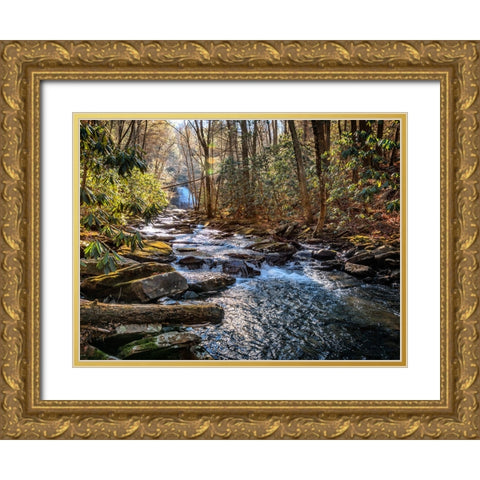 Stinging Fork Creek 1 Gold Ornate Wood Framed Art Print with Double Matting by Lee, Rachel
