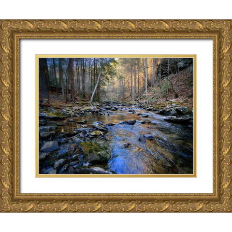 Stinging Fork Creek 2 Gold Ornate Wood Framed Art Print with Double Matting by Lee, Rachel