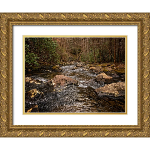 Stinging Fork Creek 4 Gold Ornate Wood Framed Art Print with Double Matting by Lee, Rachel
