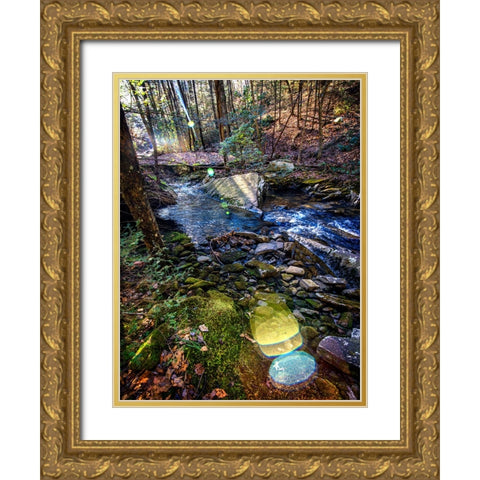 Stinging Fork Creek 5 Gold Ornate Wood Framed Art Print with Double Matting by Lee, Rachel
