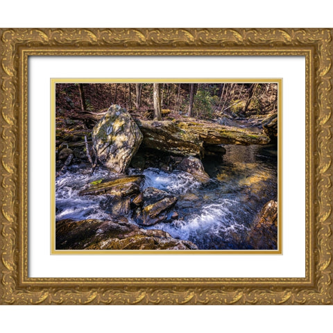 Stinging Fork Creek 7 Gold Ornate Wood Framed Art Print with Double Matting by Lee, Rachel