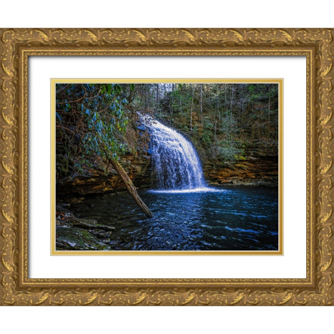 Stinging Fork Falls 3 Gold Ornate Wood Framed Art Print with Double Matting by Lee, Rachel