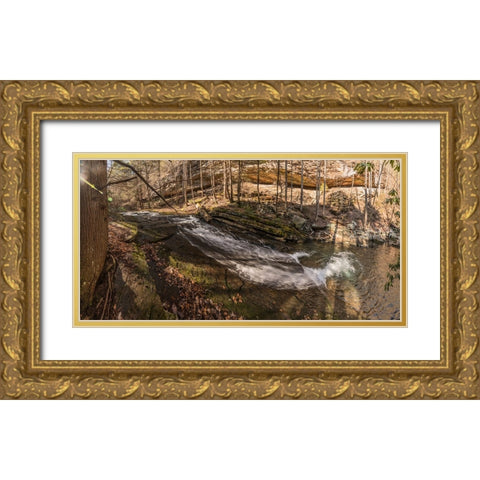 Stinging Fork Slide 3 Gold Ornate Wood Framed Art Print with Double Matting by Lee, Rachel