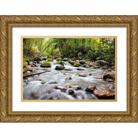 Stream 1 Gold Ornate Wood Framed Art Print with Double Matting by Lee, Rachel