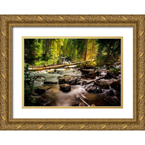 Stream 13 Gold Ornate Wood Framed Art Print with Double Matting by Lee, Rachel