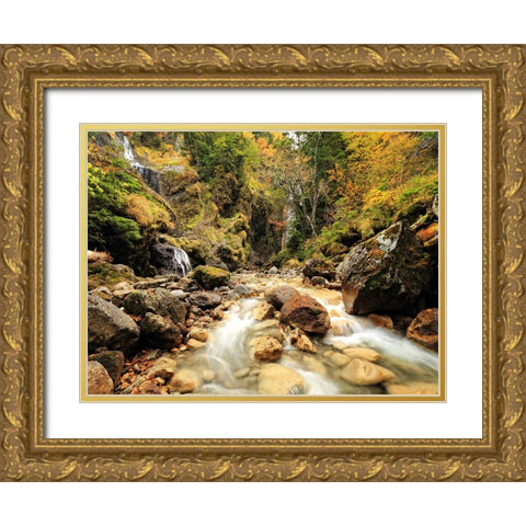 Stream 14 Gold Ornate Wood Framed Art Print with Double Matting by Lee, Rachel
