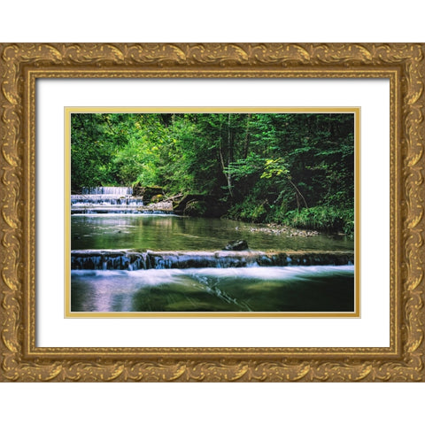 Stream 18 Gold Ornate Wood Framed Art Print with Double Matting by Lee, Rachel
