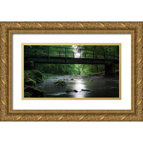 Stream 6 Gold Ornate Wood Framed Art Print with Double Matting by Lee, Rachel
