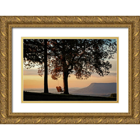 Sunrise Swing Lookout Gold Ornate Wood Framed Art Print with Double Matting by Lee, Rachel
