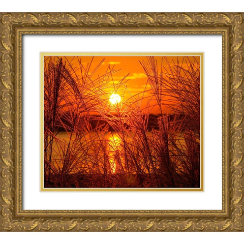 Sunset Lake 3 Gold Ornate Wood Framed Art Print with Double Matting by Lee, Rachel
