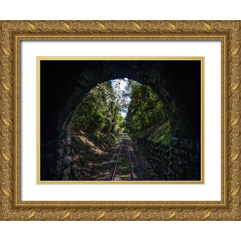 Train Enter Tunnel 3 Gold Ornate Wood Framed Art Print with Double Matting by Lee, Rachel