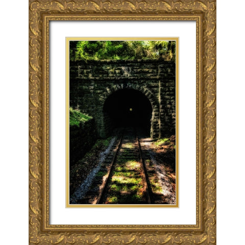 Train Enter Tunnel 4 Gold Ornate Wood Framed Art Print with Double Matting by Lee, Rachel