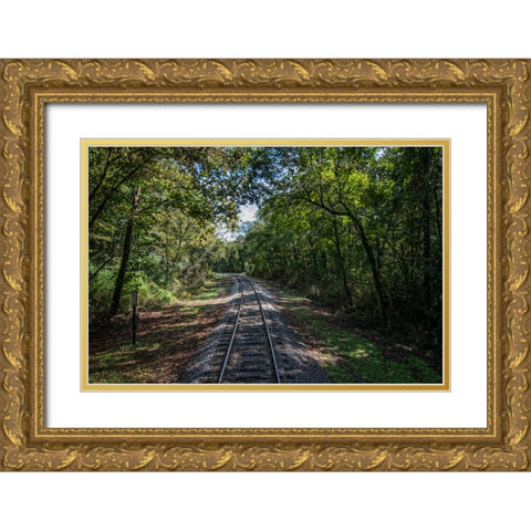 Train Track 1 Gold Ornate Wood Framed Art Print with Double Matting by Lee, Rachel