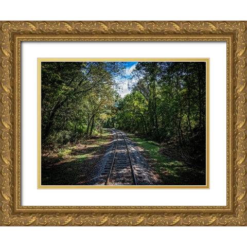 Train Track 7 Gold Ornate Wood Framed Art Print with Double Matting by Lee, Rachel