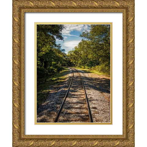 Train Track 8 Gold Ornate Wood Framed Art Print with Double Matting by Lee, Rachel