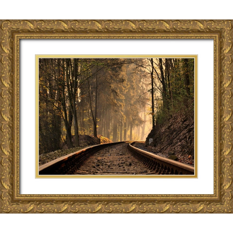 Train Track 9 Gold Ornate Wood Framed Art Print with Double Matting by Lee, Rachel