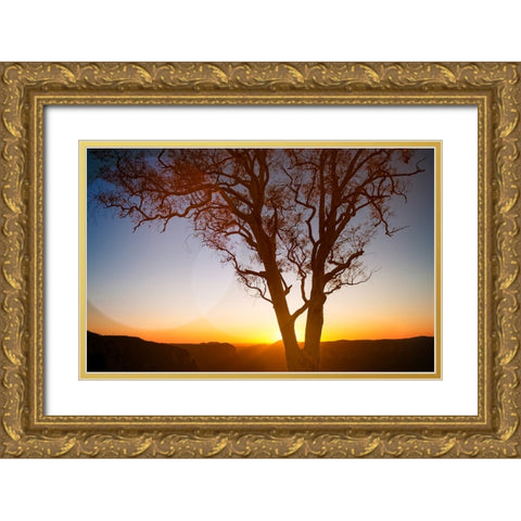 Tree Sunset 1 Gold Ornate Wood Framed Art Print with Double Matting by Lee, Rachel