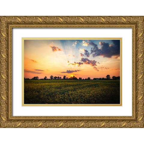 Tree Sunset 2 Gold Ornate Wood Framed Art Print with Double Matting by Lee, Rachel