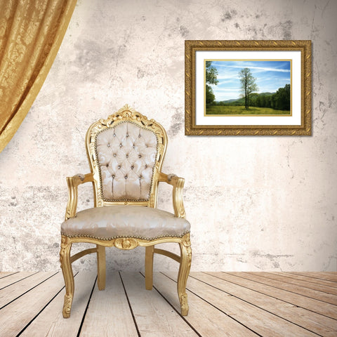 Trees 11 Gold Ornate Wood Framed Art Print with Double Matting by Lee, Rachel