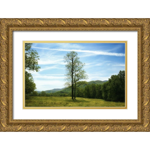 Trees 11 Gold Ornate Wood Framed Art Print with Double Matting by Lee, Rachel