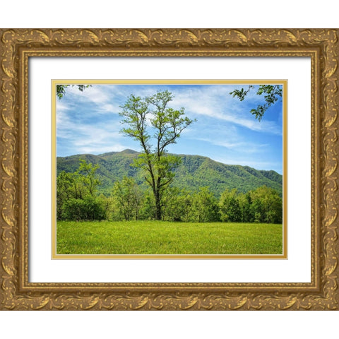 Trees 12 Gold Ornate Wood Framed Art Print with Double Matting by Lee, Rachel