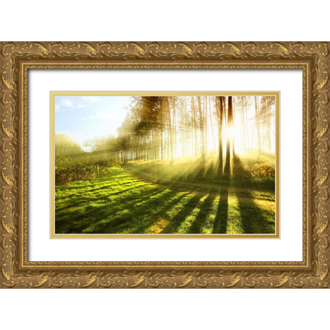 Trees 18 Gold Ornate Wood Framed Art Print with Double Matting by Lee, Rachel