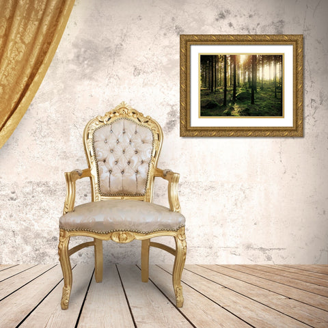 Trees 20 Gold Ornate Wood Framed Art Print with Double Matting by Lee, Rachel