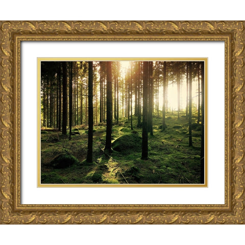 Trees 20 Gold Ornate Wood Framed Art Print with Double Matting by Lee, Rachel