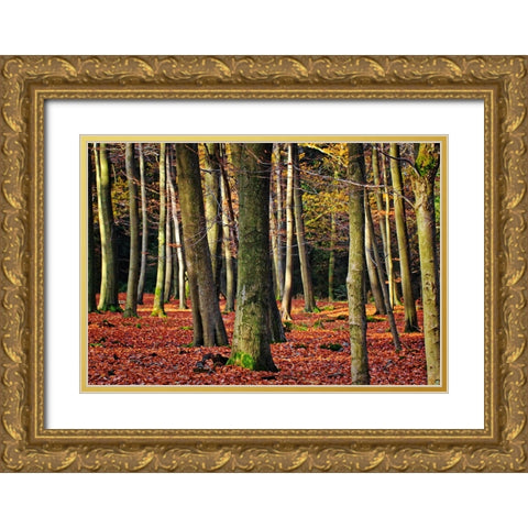 Trees 22 Gold Ornate Wood Framed Art Print with Double Matting by Lee, Rachel
