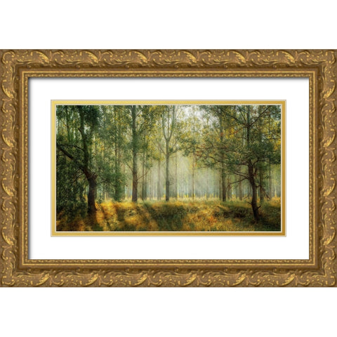 Trees 27 Gold Ornate Wood Framed Art Print with Double Matting by Lee, Rachel