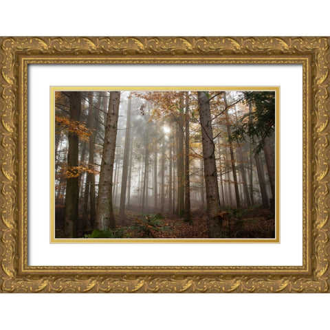 Trees 3 Gold Ornate Wood Framed Art Print with Double Matting by Lee, Rachel