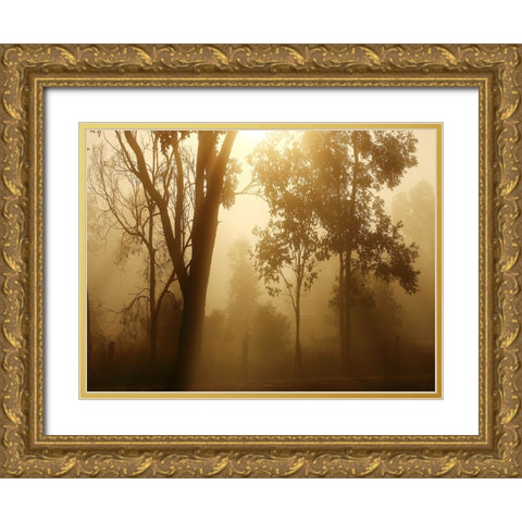 Trees 37 Gold Ornate Wood Framed Art Print with Double Matting by Lee, Rachel