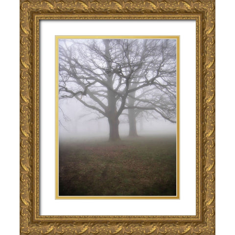 Trees 40 Gold Ornate Wood Framed Art Print with Double Matting by Lee, Rachel