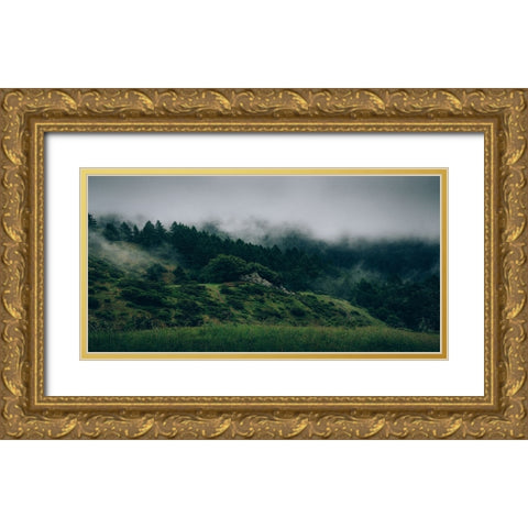 Trees 44 Gold Ornate Wood Framed Art Print with Double Matting by Lee, Rachel