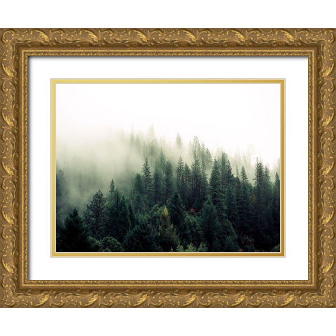 Trees 47 Gold Ornate Wood Framed Art Print with Double Matting by Lee, Rachel