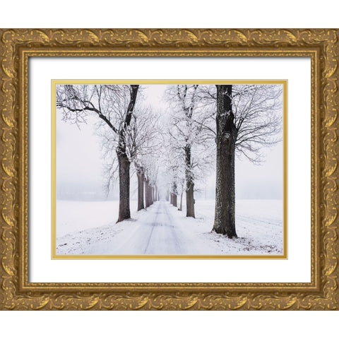 Trees 49 Gold Ornate Wood Framed Art Print with Double Matting by Lee, Rachel