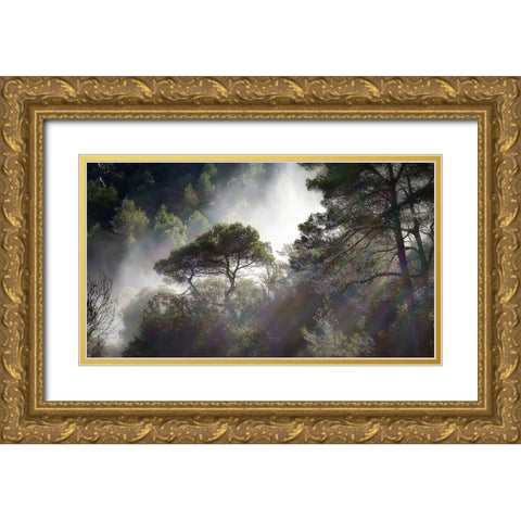 Trees 5 Gold Ornate Wood Framed Art Print with Double Matting by Lee, Rachel
