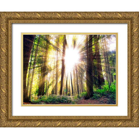 Trees 50 Gold Ornate Wood Framed Art Print with Double Matting by Lee, Rachel