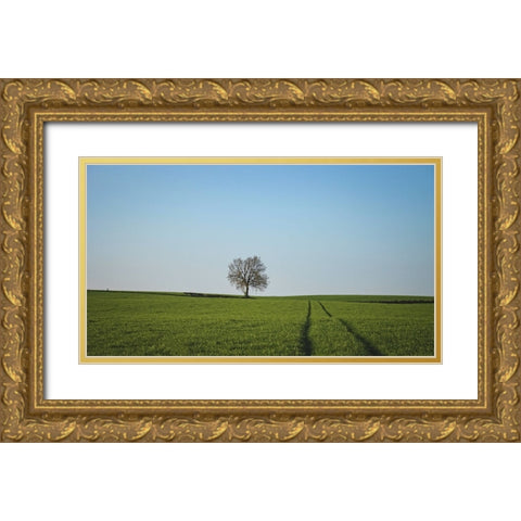 Trees 52 Gold Ornate Wood Framed Art Print with Double Matting by Lee, Rachel