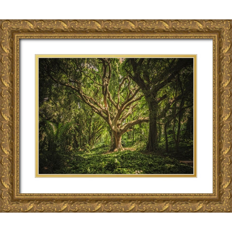 Trees 53 Gold Ornate Wood Framed Art Print with Double Matting by Lee, Rachel
