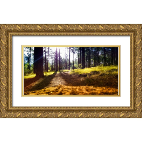Trees 59 Gold Ornate Wood Framed Art Print with Double Matting by Lee, Rachel
