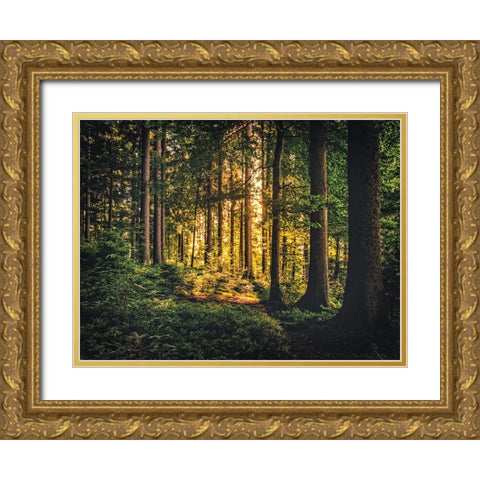 Trees 61 Gold Ornate Wood Framed Art Print with Double Matting by Lee, Rachel