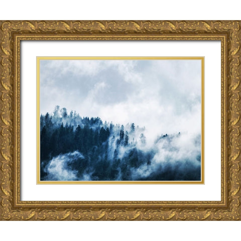 Trees 62 Gold Ornate Wood Framed Art Print with Double Matting by Lee, Rachel